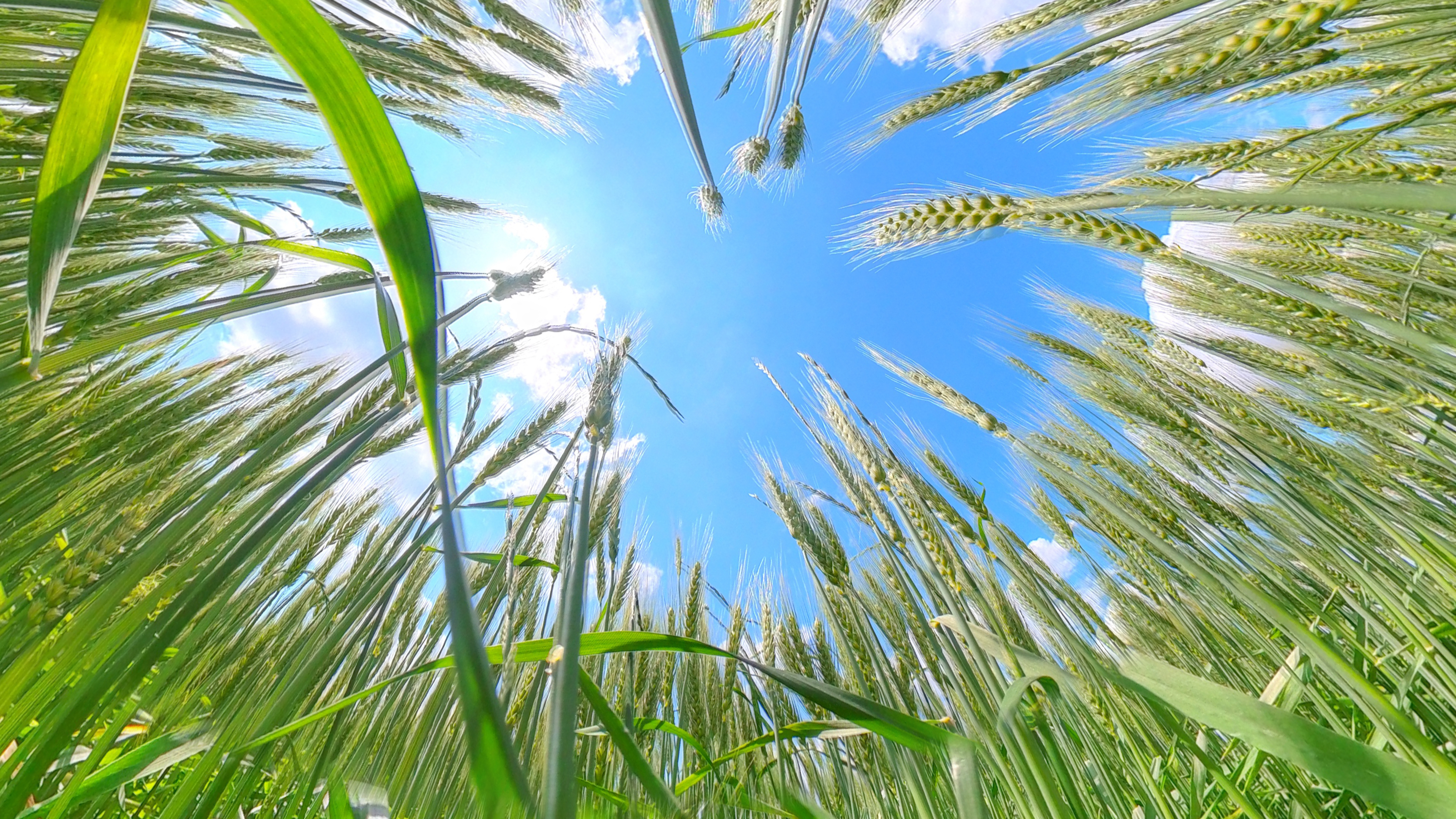 サイトオープンいたしました!